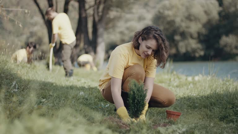 Best Pest Control for Lawns  in Viola, NY